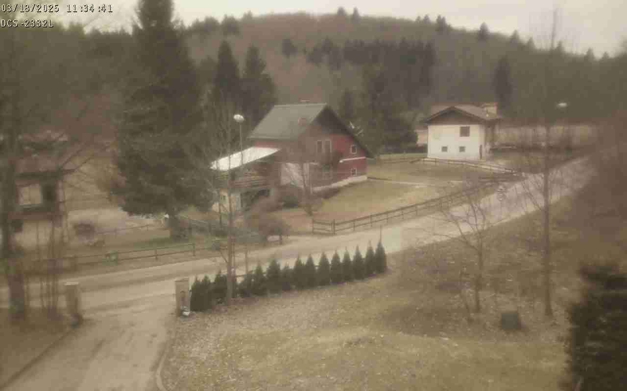 WebCam