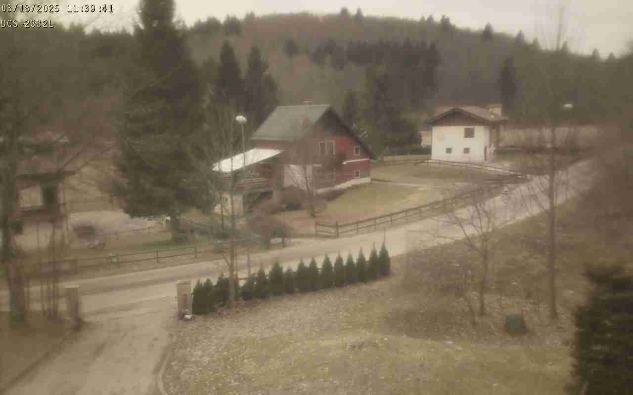 WebCam