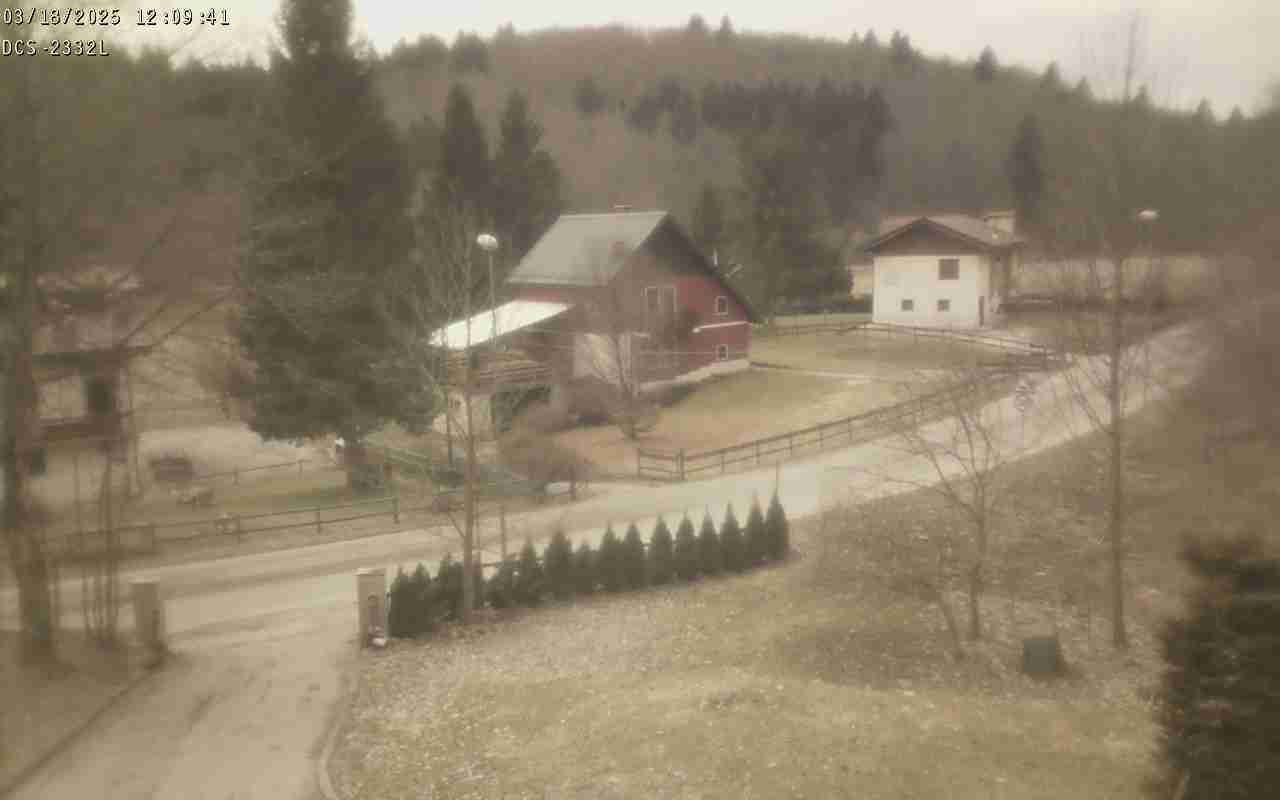 WebCam