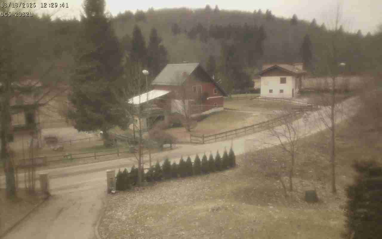 WebCam