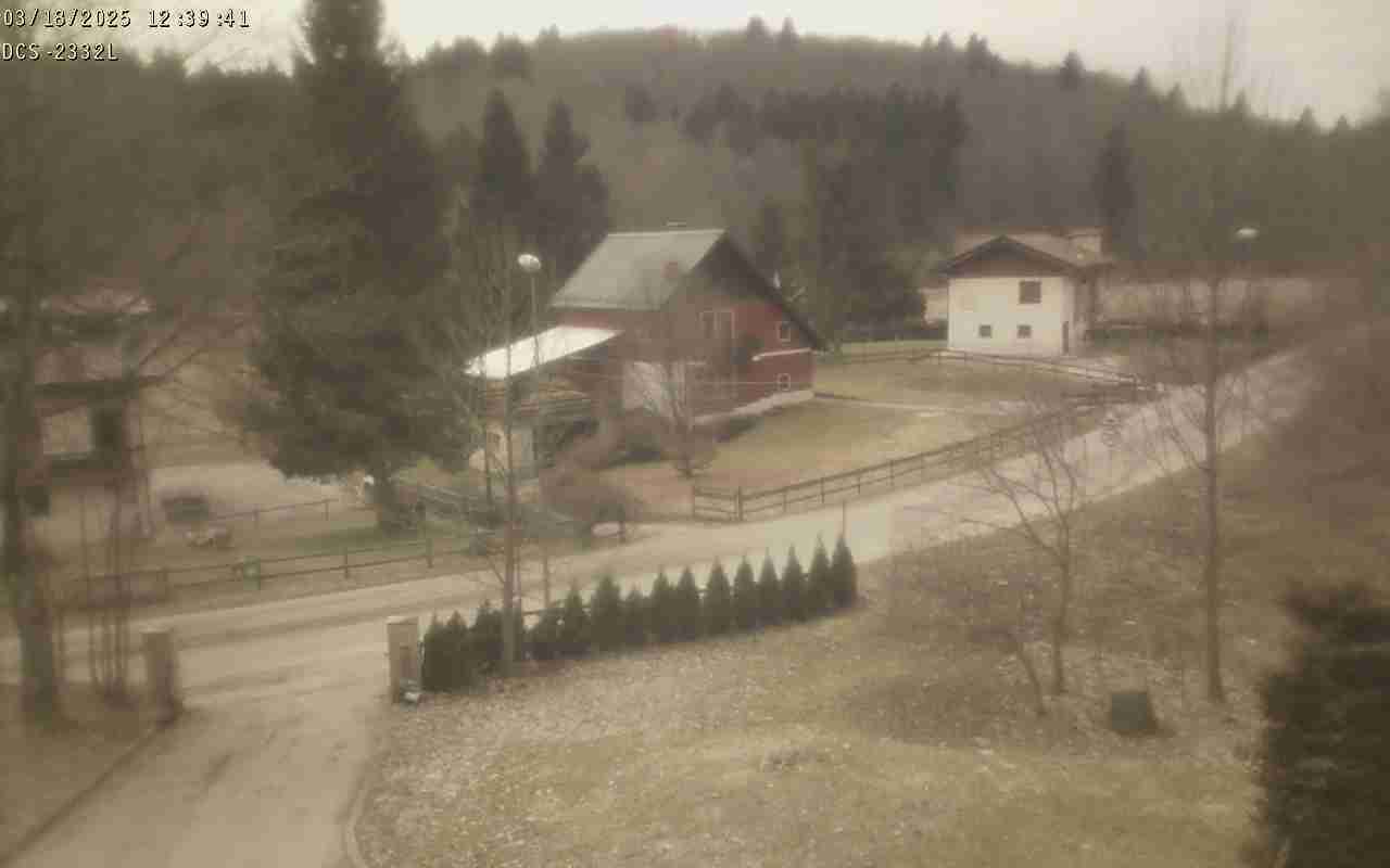 WebCam