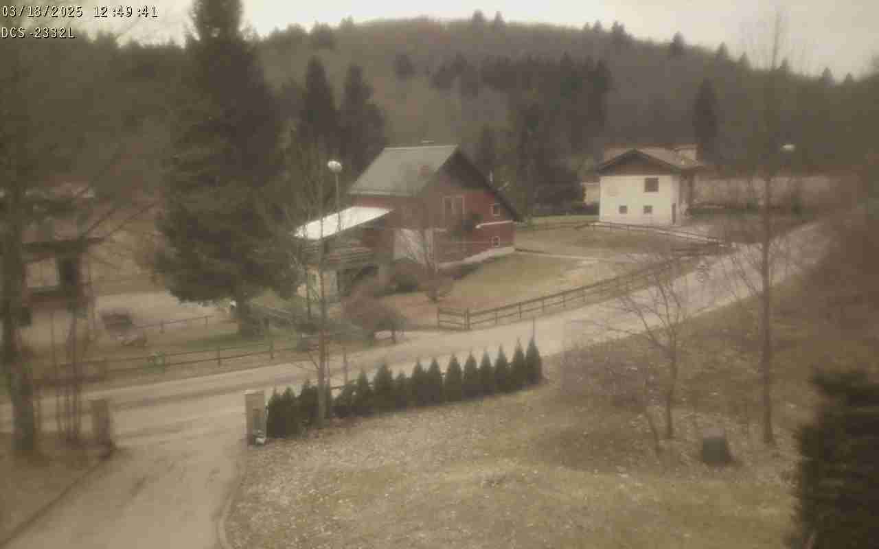 WebCam