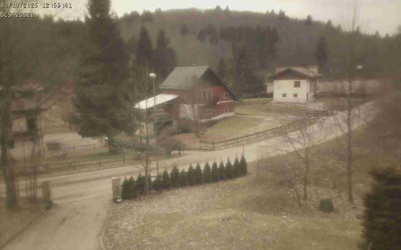 WebCam