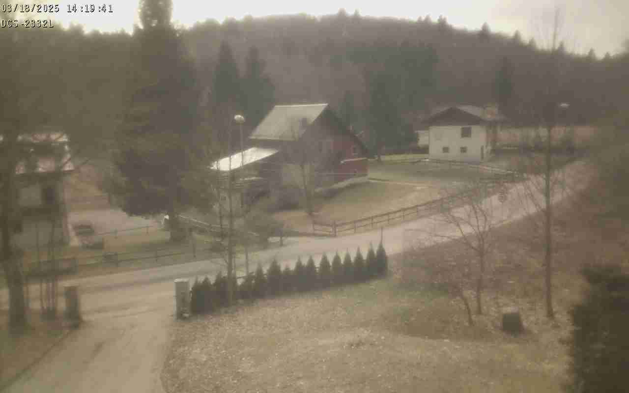 WebCam