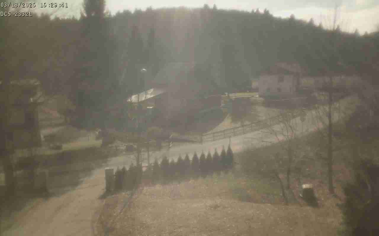 WebCam