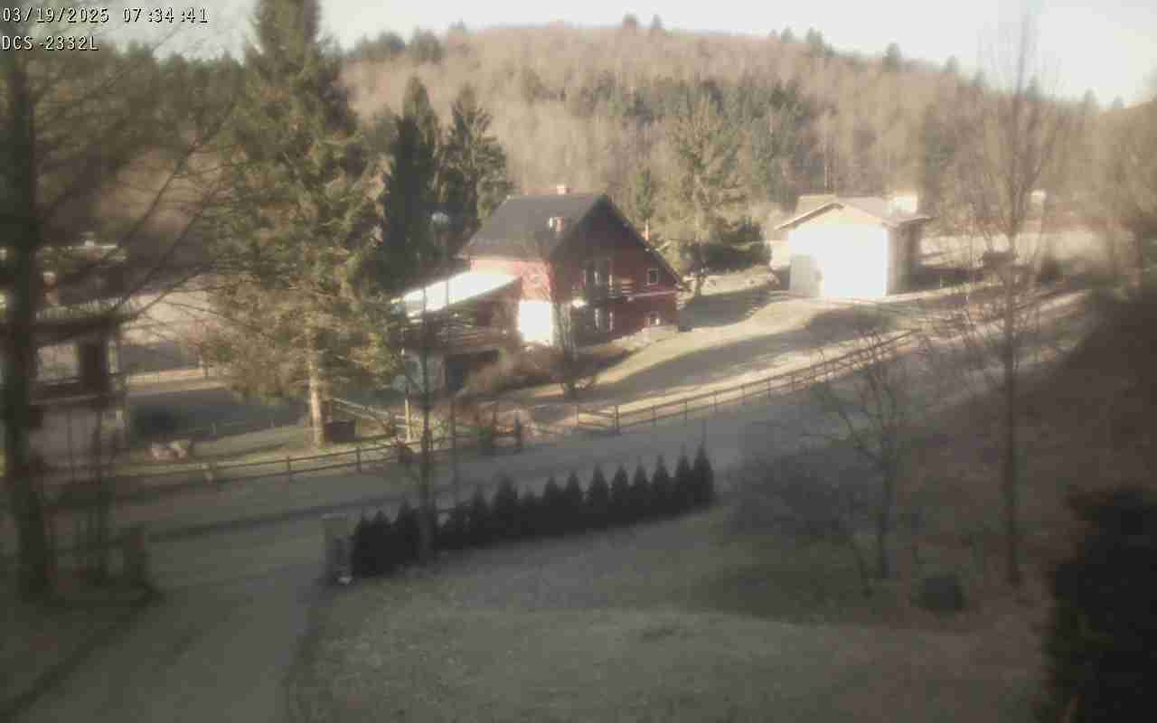 WebCam