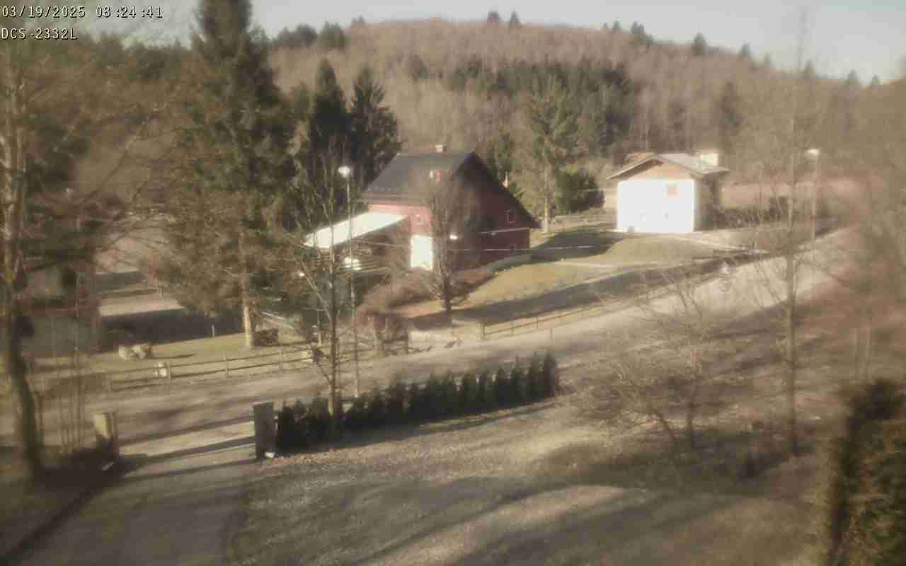 WebCam