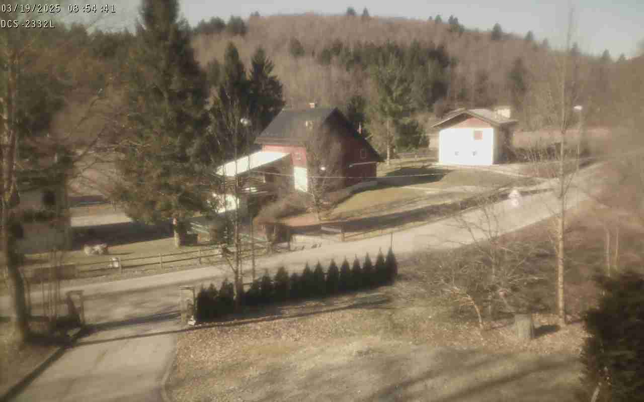 WebCam