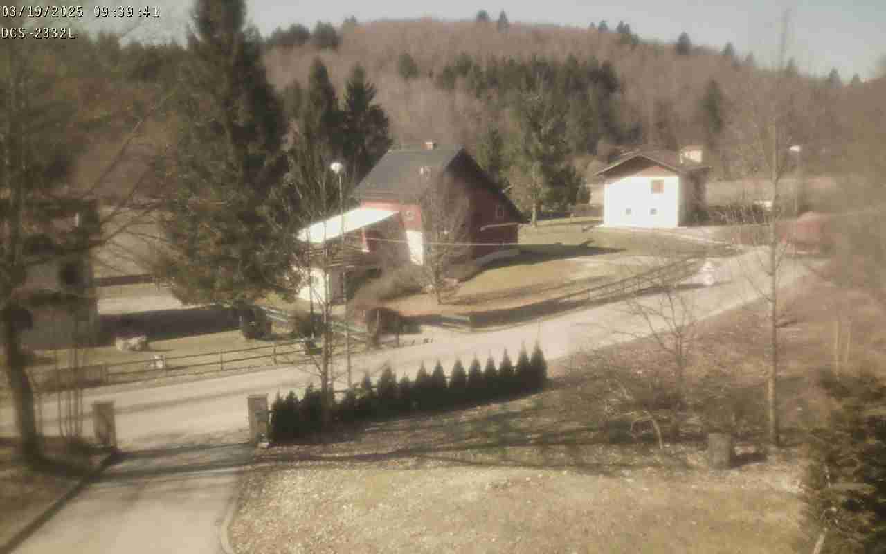 WebCam