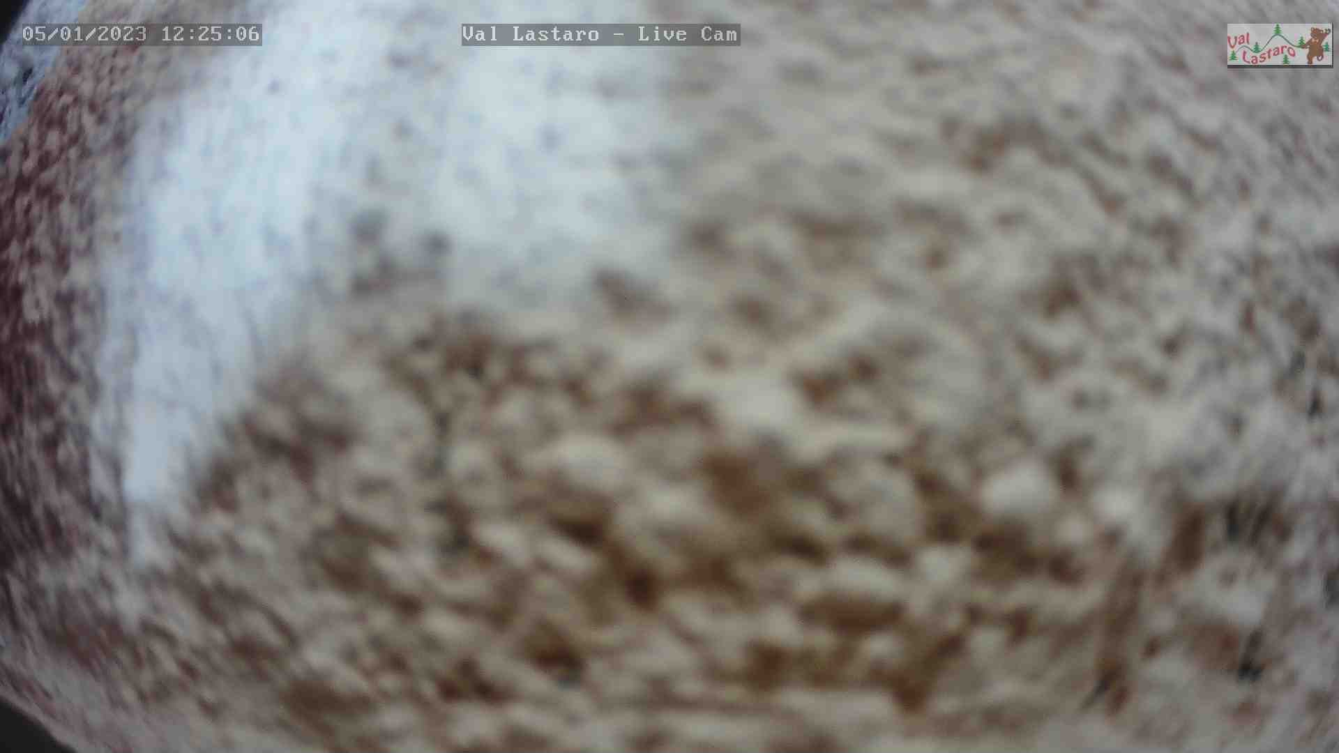 WebCam
