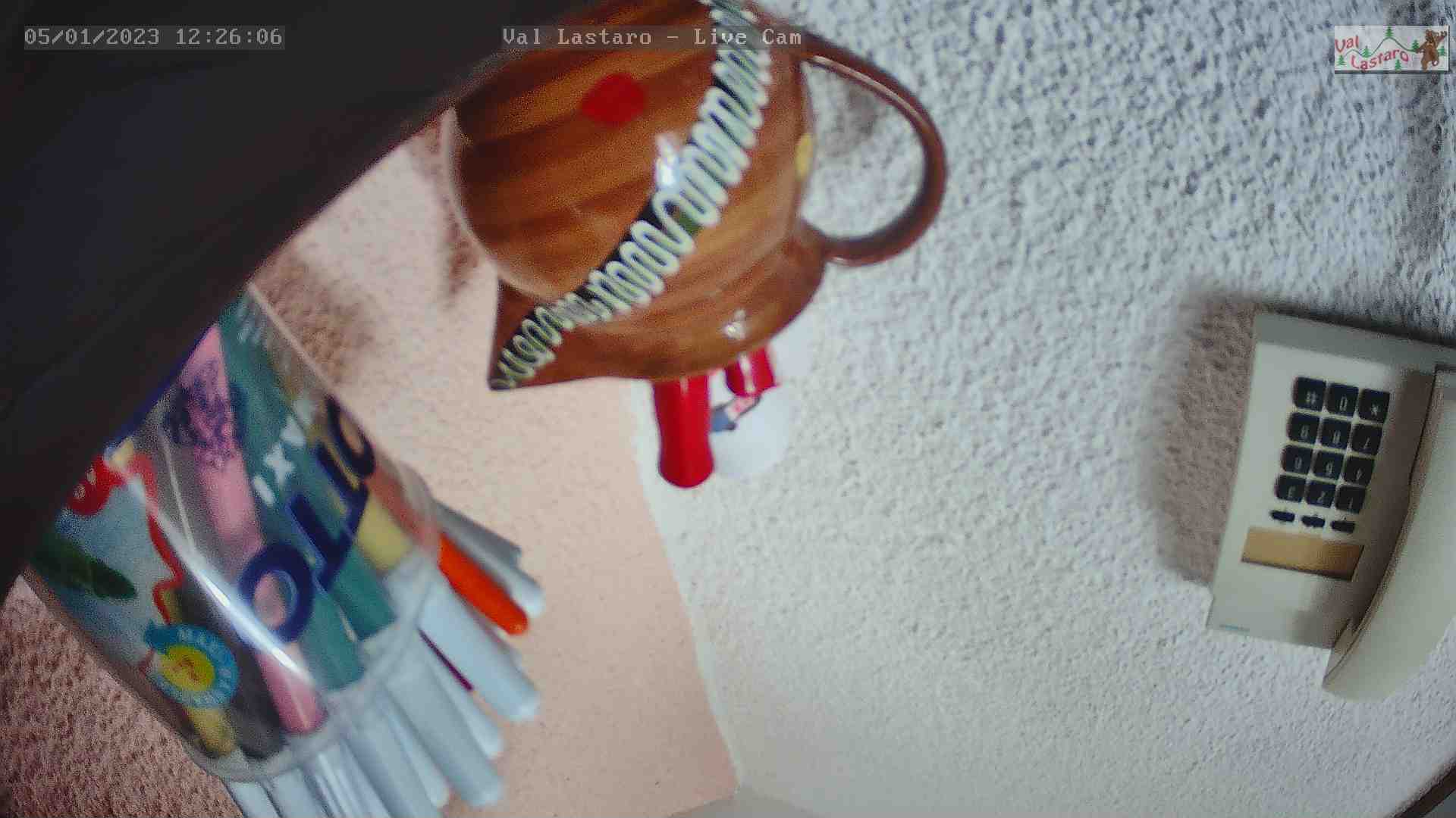 WebCam