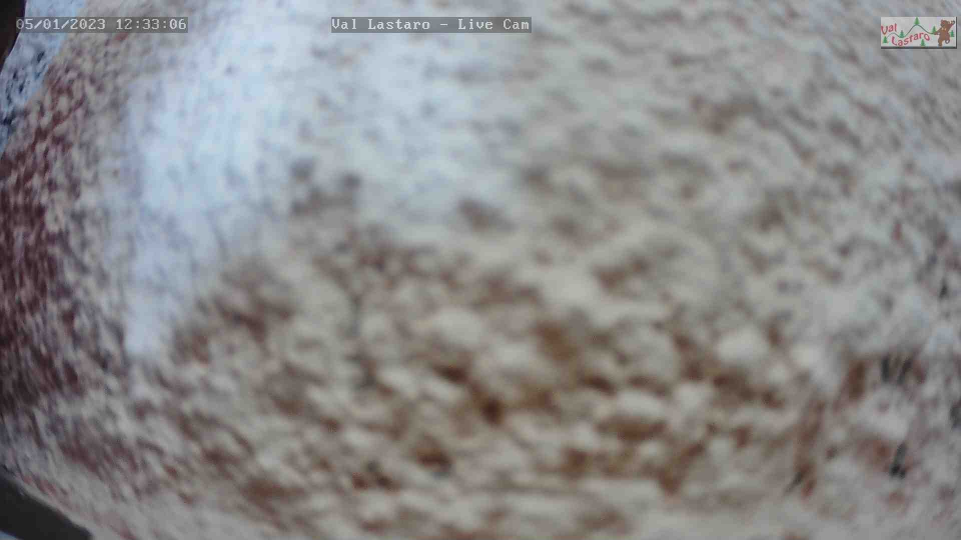 WebCam