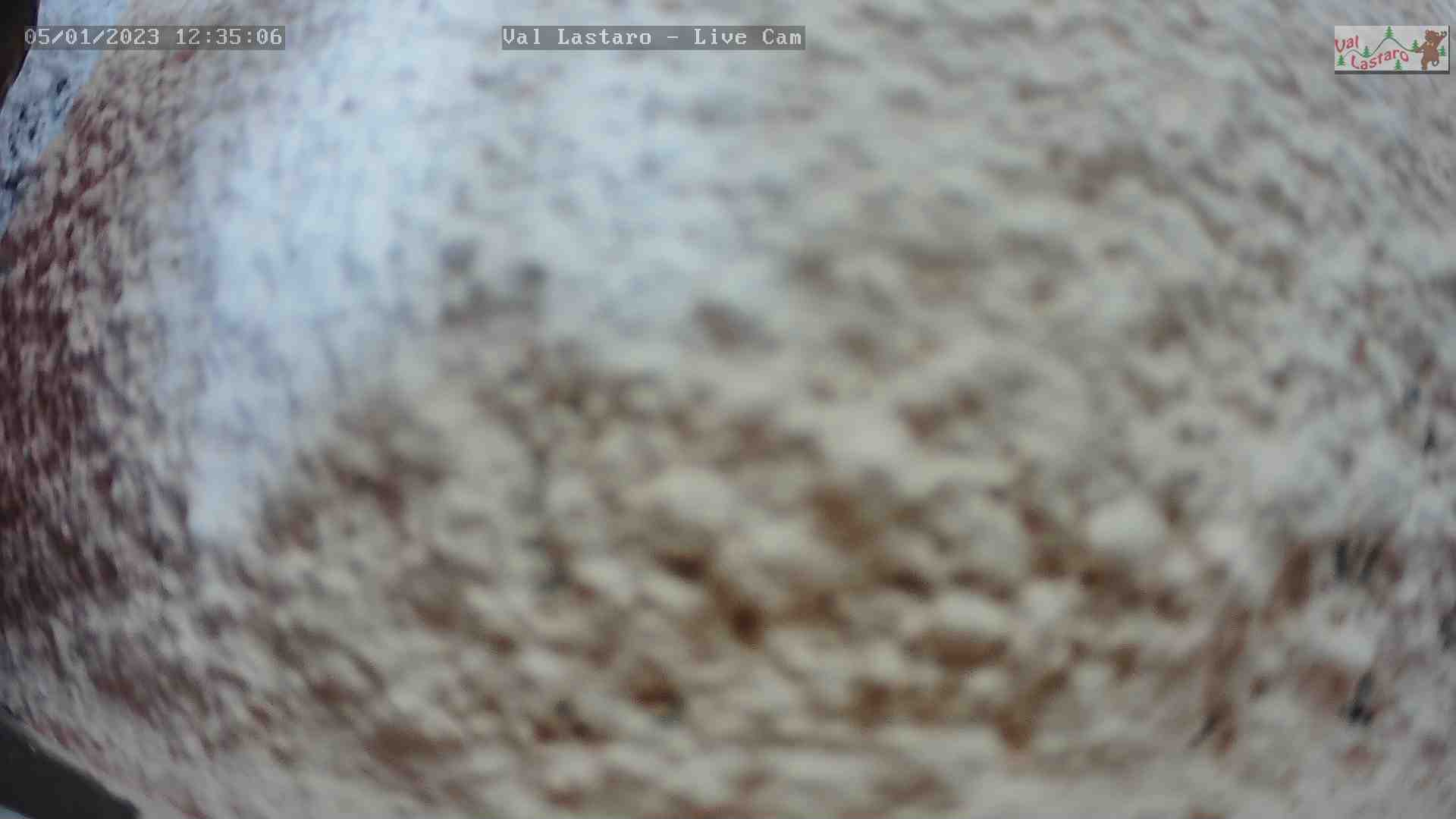 WebCam