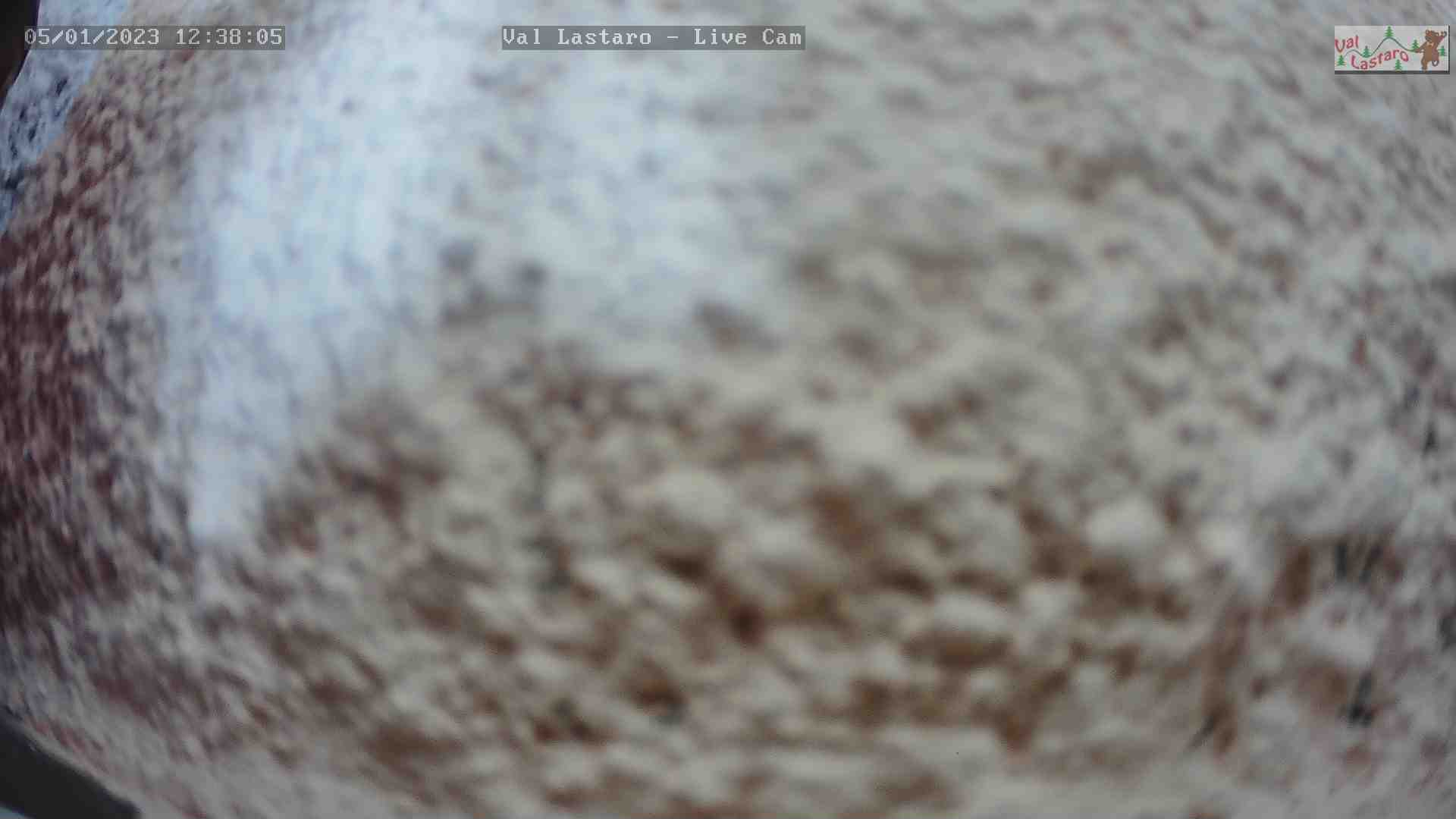 WebCam