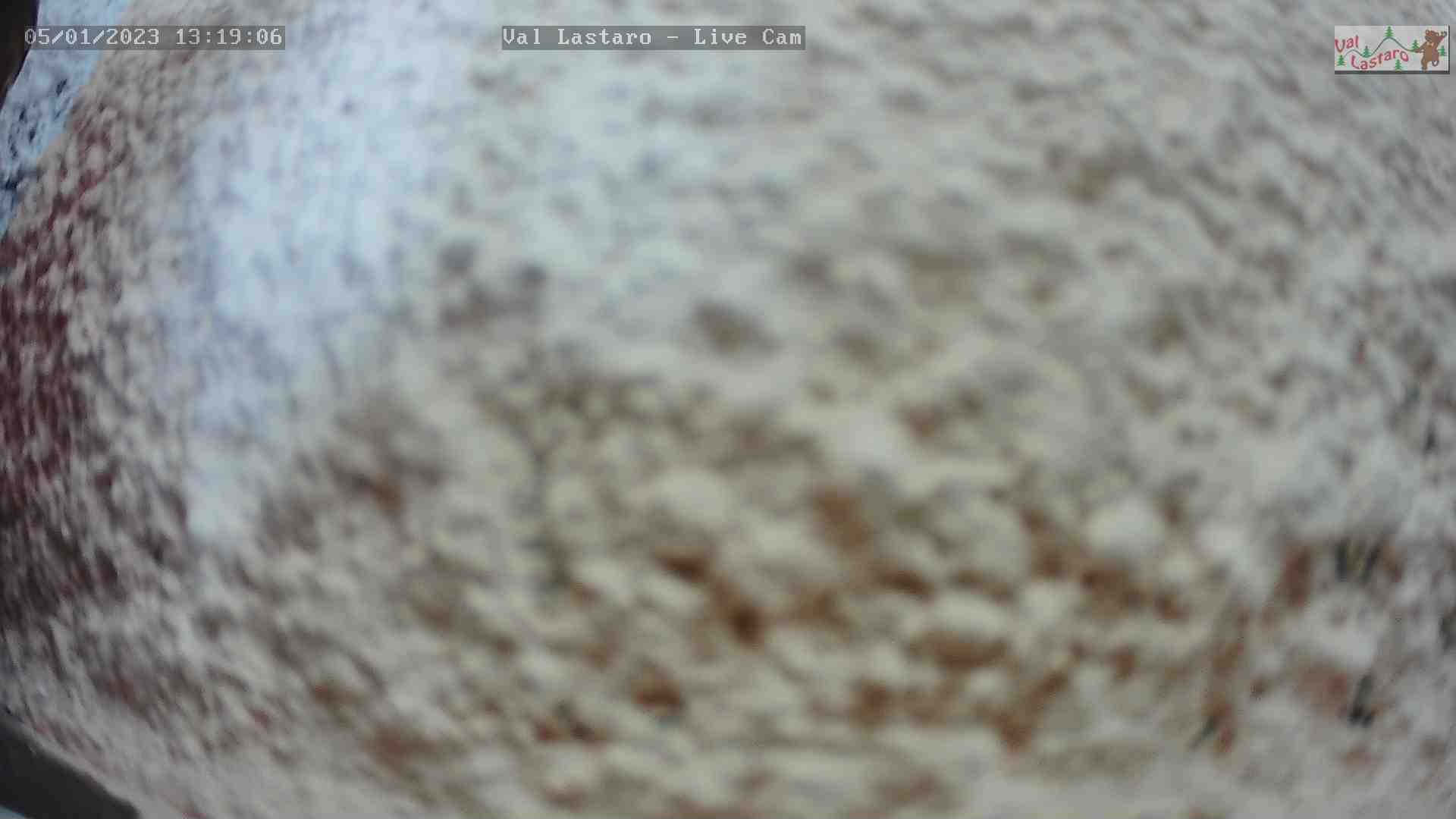 WebCam